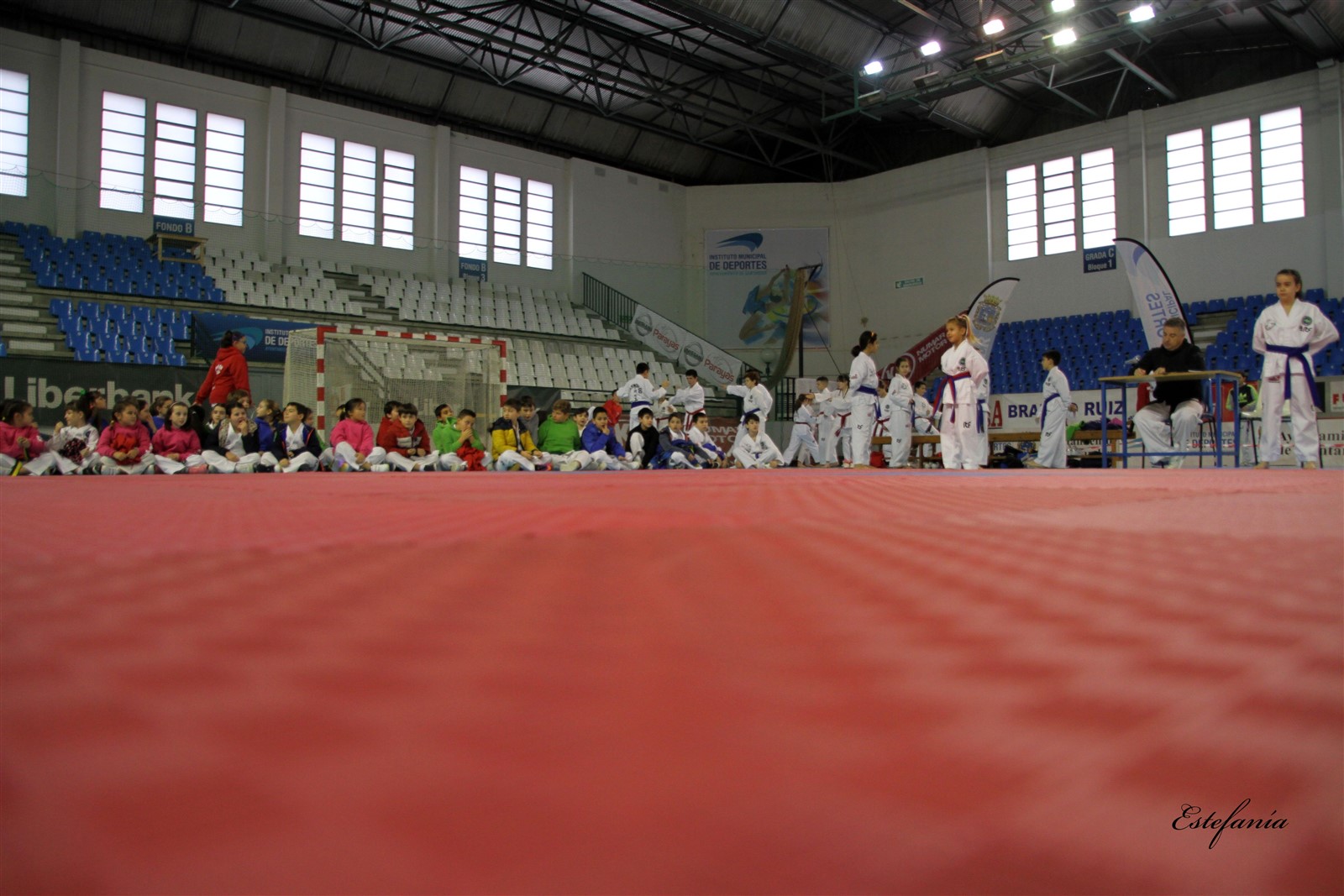 Taekwondo (152).jpg